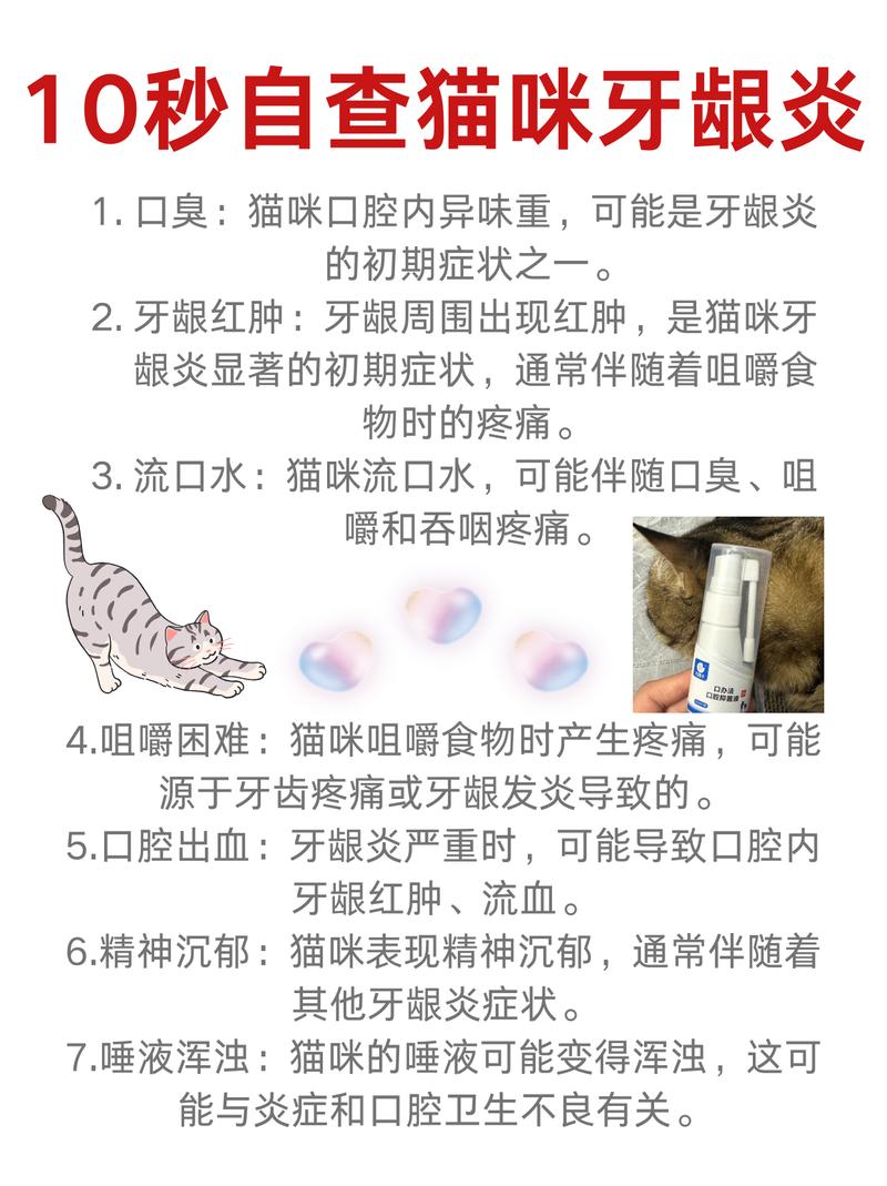 貓咪牙齦問題，如何預(yù)防與治療