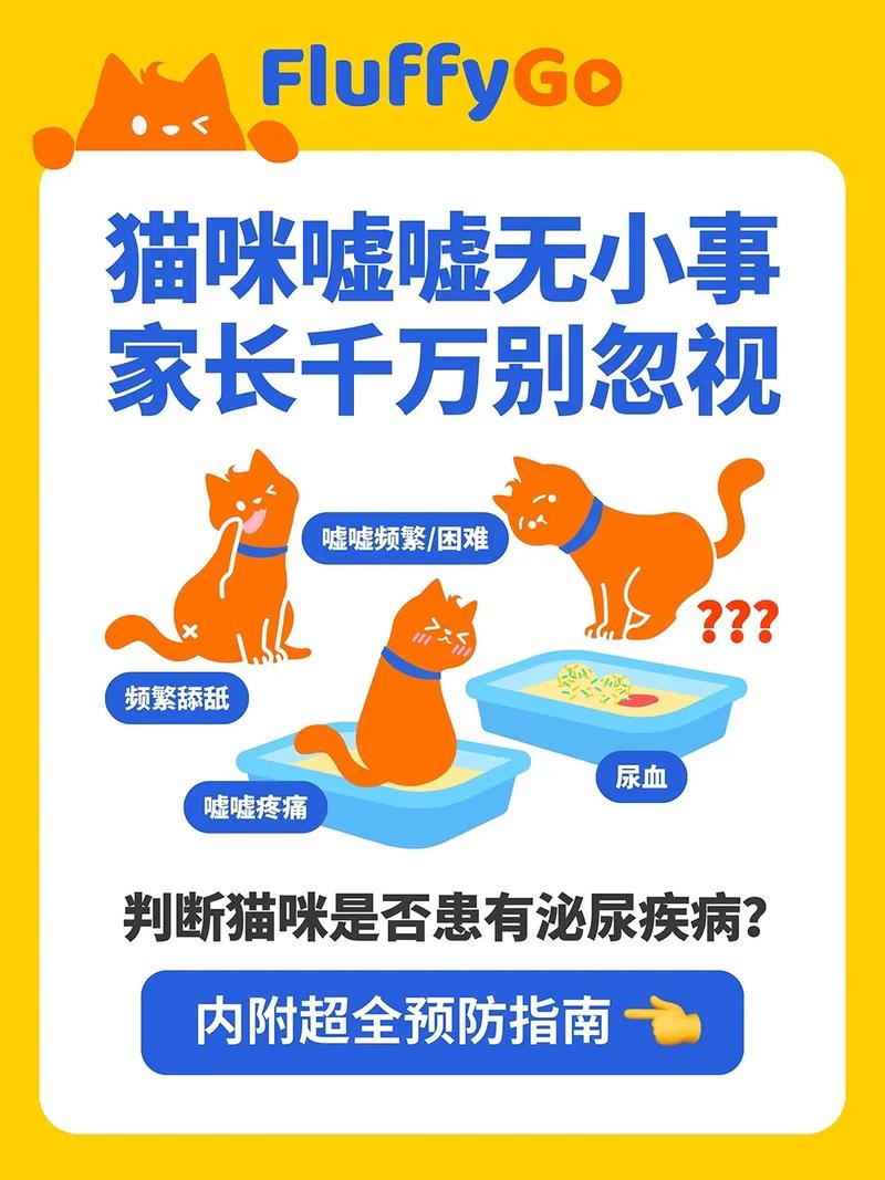 貓咪排尿增加？你可能忽略了這些關鍵因素