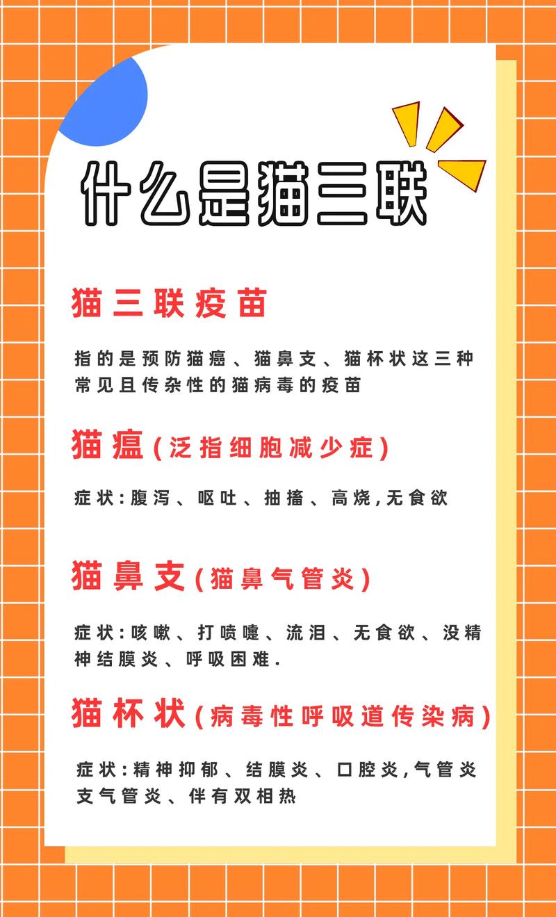 貓咪接種疫苗，最佳時機與重要性