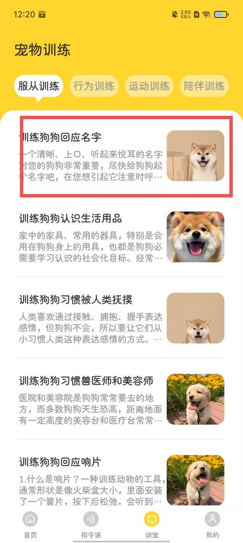 貓咪到家APP，寵物主人的幸福生活助手