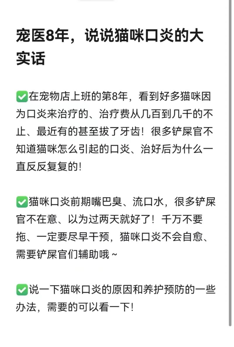 貓咪口炎，原因解析與預防指南