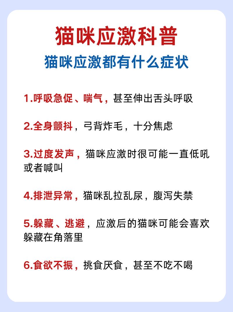 貓咪晚上的氣喘聲，可能是健康問題的信號(hào)