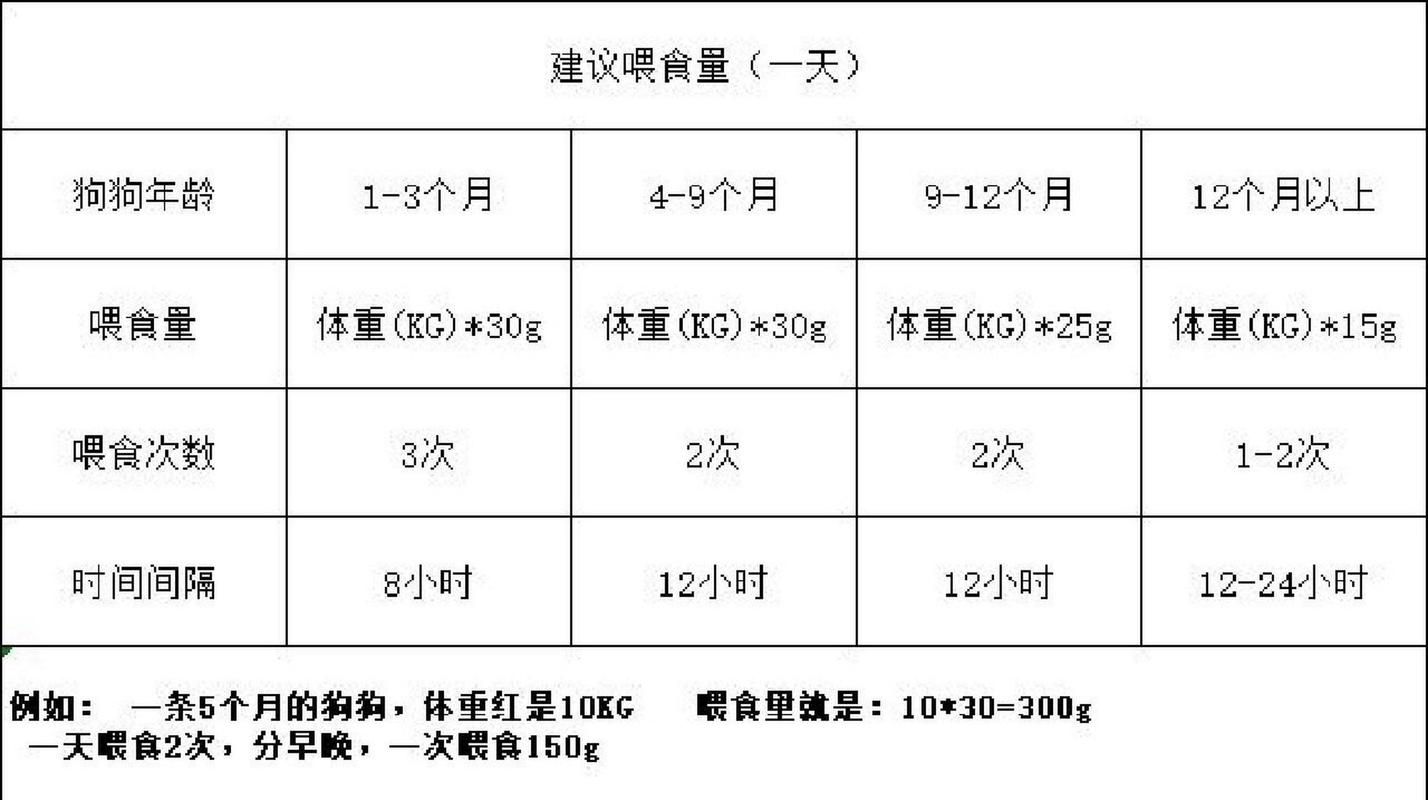 揭秘貓咪成年食量的秘密，科學(xué)喂養(yǎng)你的小寵