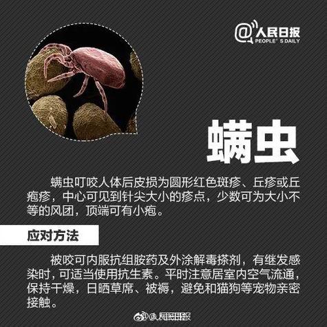 揭秘貓咪FeLV，了解這個(gè)致命病毒及其常見(jiàn)癥狀