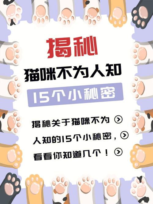 揭秘貓咪的自然排便習(xí)慣，規(guī)律、地點(diǎn)與健康信號(hào)