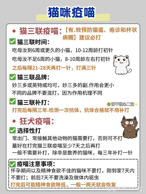 貓咪發(fā)育慢，成長的秘訣與父母的細心照料