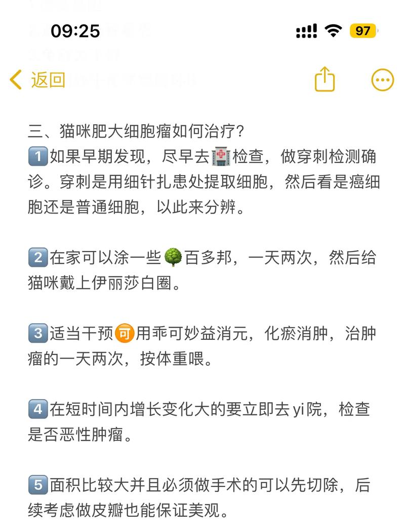 揭秘貓咪腫瘤的真相，常見誘因全解析