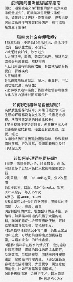 解決貓咪便秘難題的貓咪便秘針，安全有效的家庭護理指南