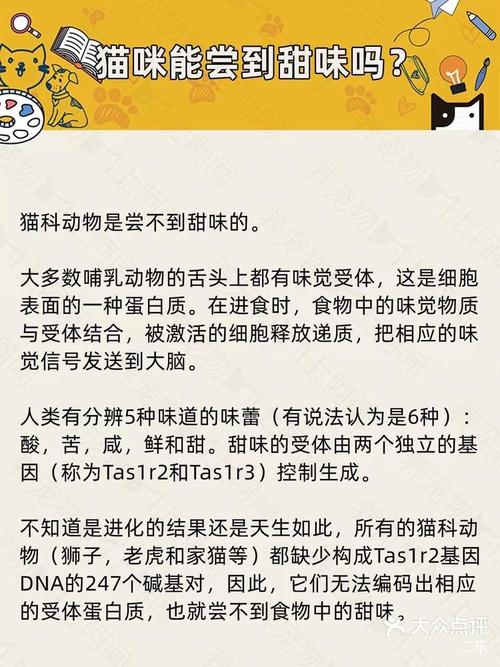 貓咪手痙攣，了解常見的貓科動物健康問題