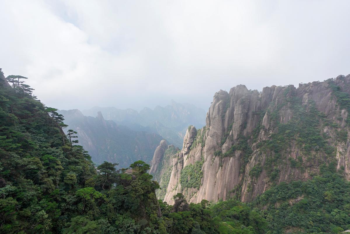 貓咪骨髓斷裂，一場(chǎng)生命的挑戰(zhàn)與奇跡