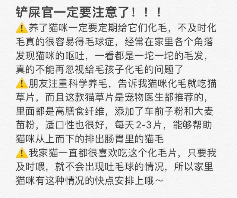 揭秘貓咪腸道的秘密，保持毛孩子健康的關(guān)鍵