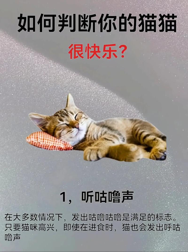 貓咪聽音樂，它們?yōu)楹稳绱税V迷？