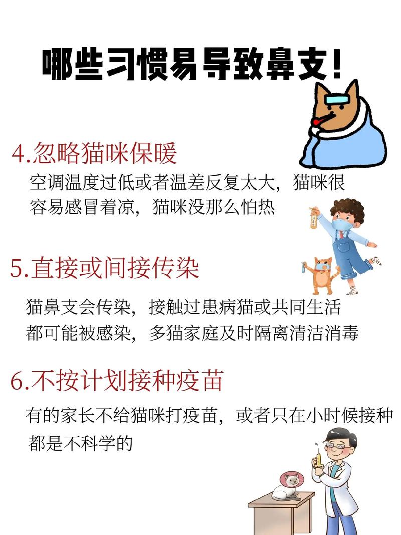 貓咪的不停吞咽行為，背后的故事與健康警示