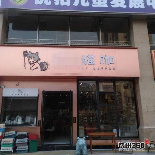 網(wǎng)上貓咪店