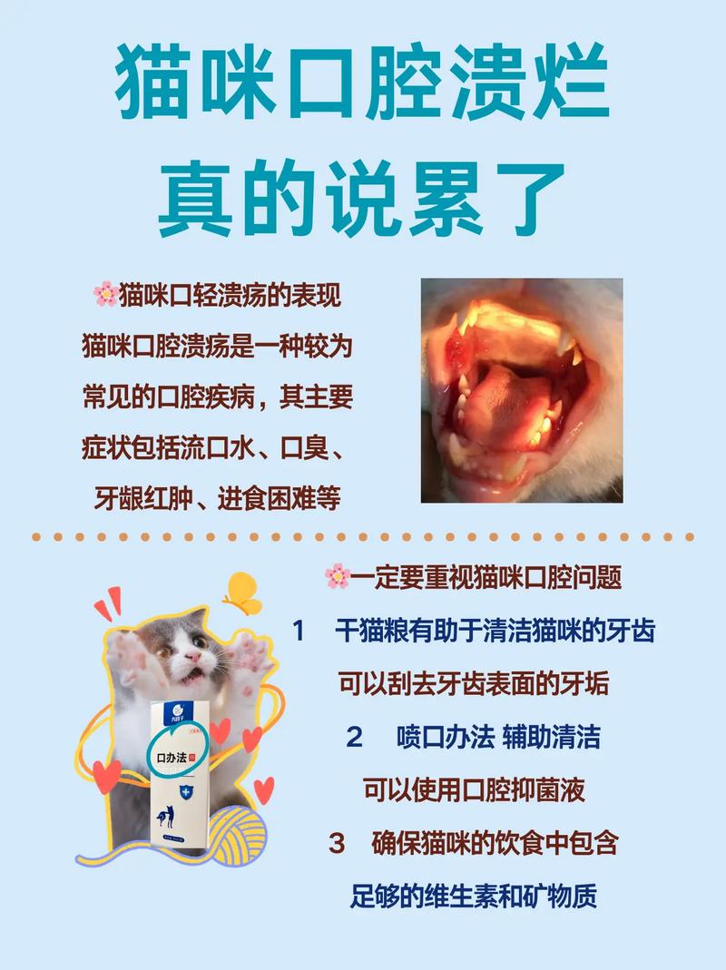 貓咪口腔健康，識別與維護的重要性