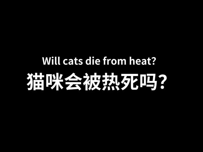 貓咪并非怕熱，它們的體溫調(diào)節(jié)機制值得我們學習