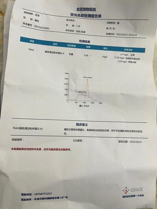 貓咪拉尿疼痛，如何識(shí)別和處理貓科動(dòng)物的排泄問(wèn)題