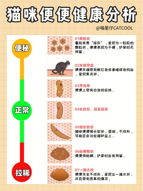 揭秘貓咪糞便類型，解讀毛孩子健康密碼