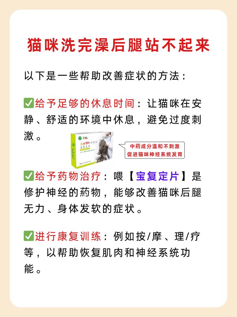 貓咪后腿拉傷，了解如何及時正確護(hù)理