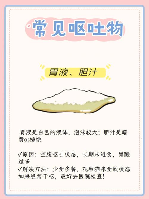 揭秘貓咪嘔吐食物的常見原因及應(yīng)對(duì)方法