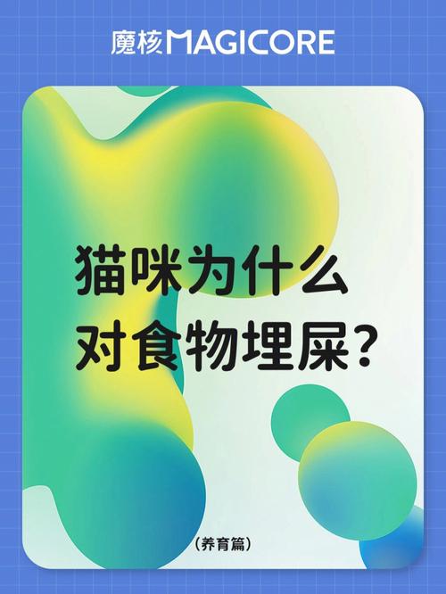 貓咪水盆里的秘密，屎與健康的關(guān)系