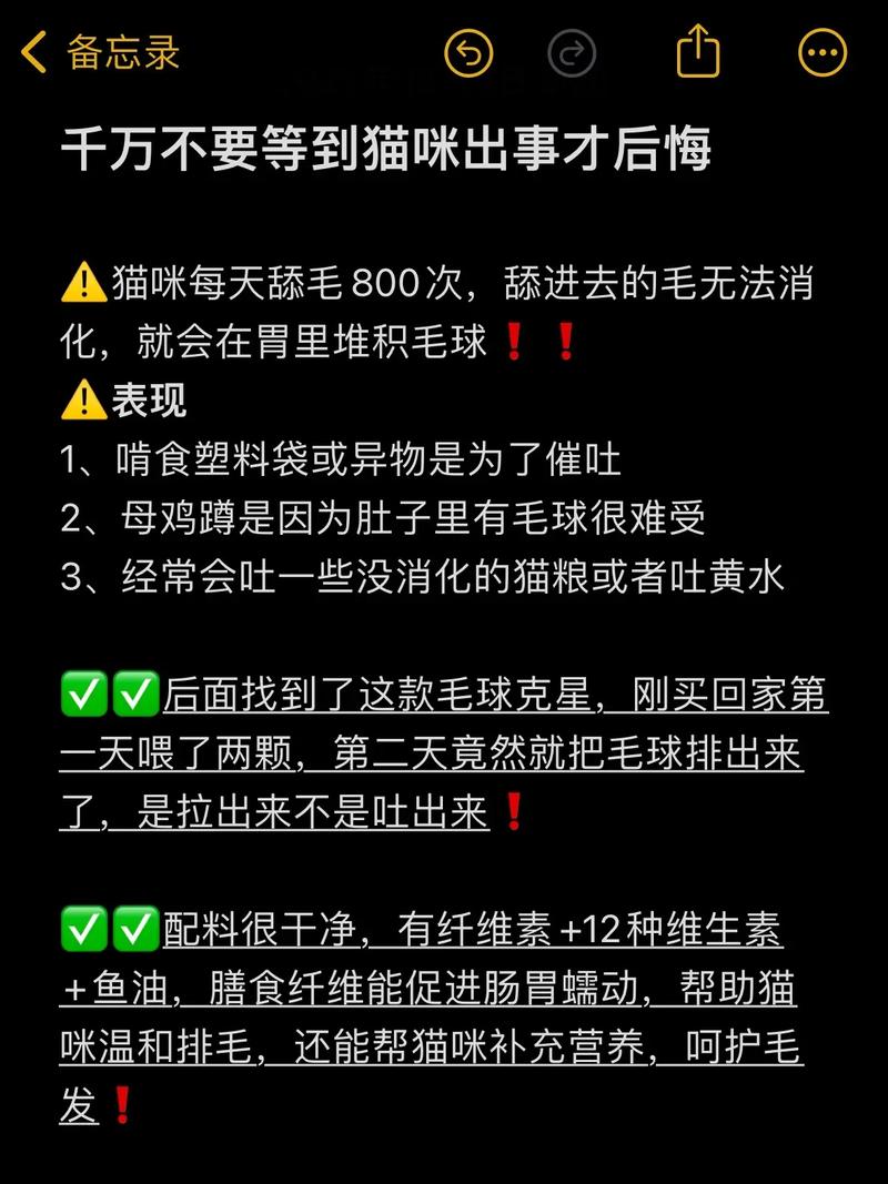 貓咪專屬食器，為毛你還不用？