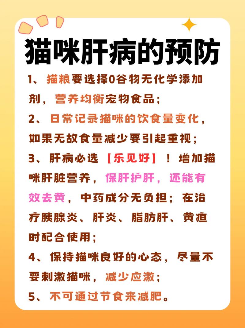 探索貓咪肝病的秘密，癥狀、原因及預(yù)防