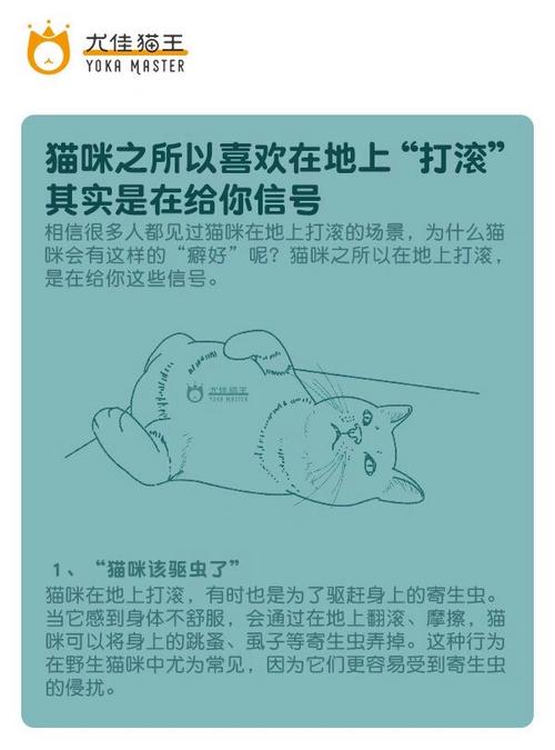 貓咪的翻滾藝術(shù)，揭秘它們?yōu)楹慰偸窍矚g打滾