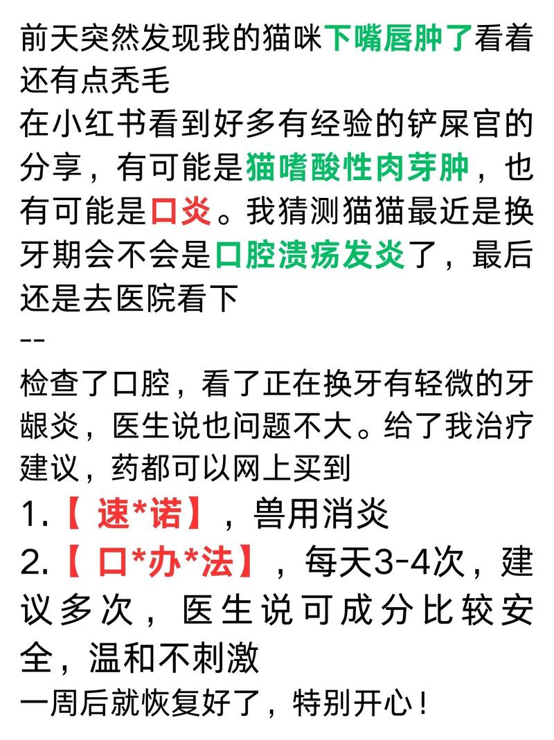 警惕貓咪咽喉腫，了解癥狀與預(yù)防