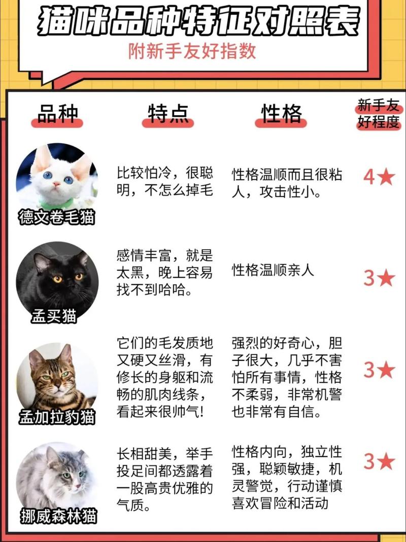 探索萬千風(fēng)采，揭秘15種絕美貓咪品種