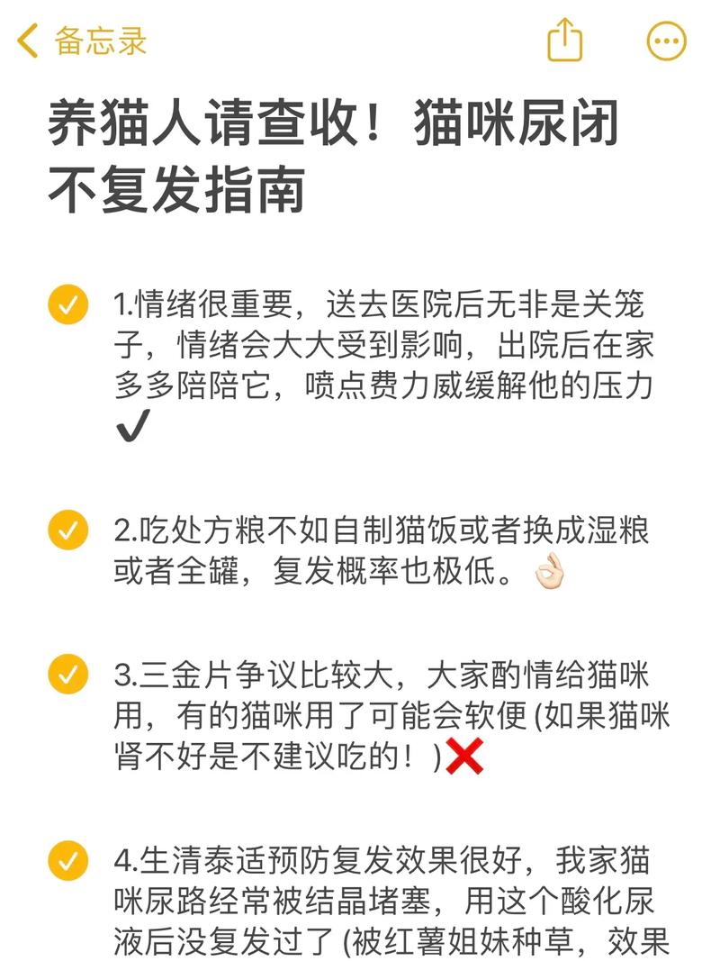 貓咪尿路健康，有效的消毒護理指南