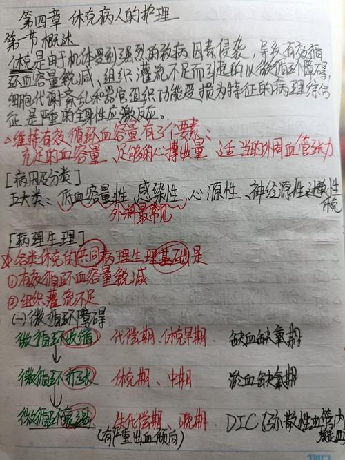 貓咪輸液休克，家庭護理與緊急處理的必要知識