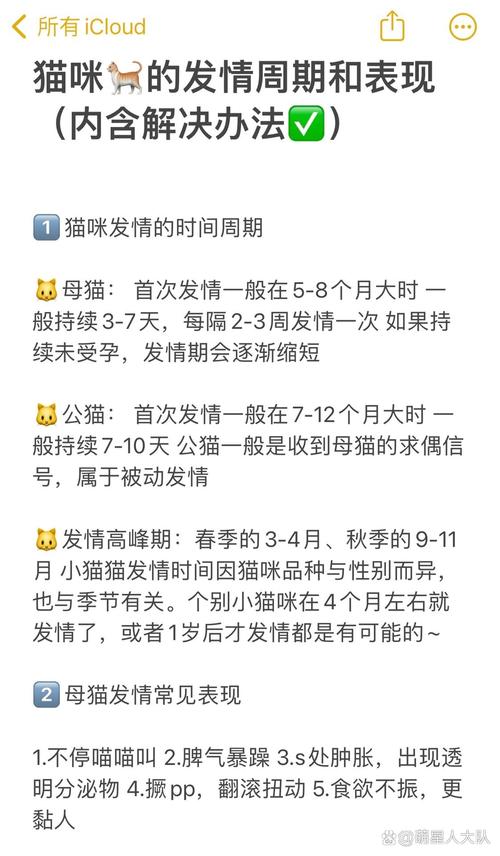 從搖搖晃晃到風度翩翩，貓咪的成長全周期解析