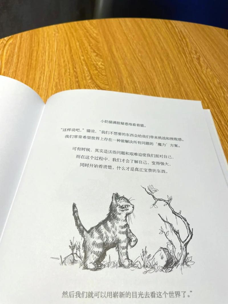 火車上的小冒險(xiǎn)，與貓咪共度溫馨旅程