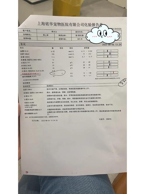 揭秘貓咪肝臟變性，早期識(shí)別與預(yù)防的重要性