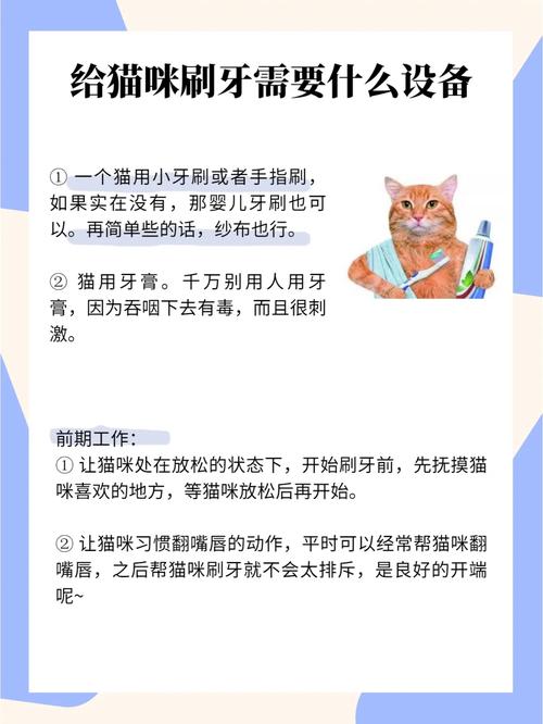 輕松掌握貓咪刷牙技巧，讓它們的牙齒更健康