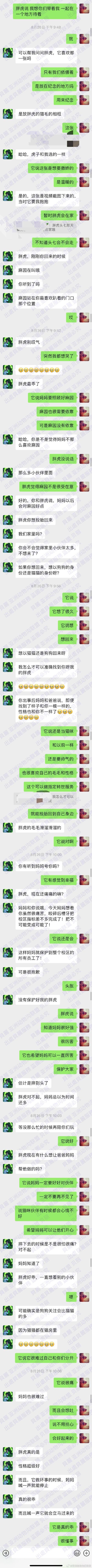 意外之痛，一次貓咪被摔的慘痛經(jīng)歷