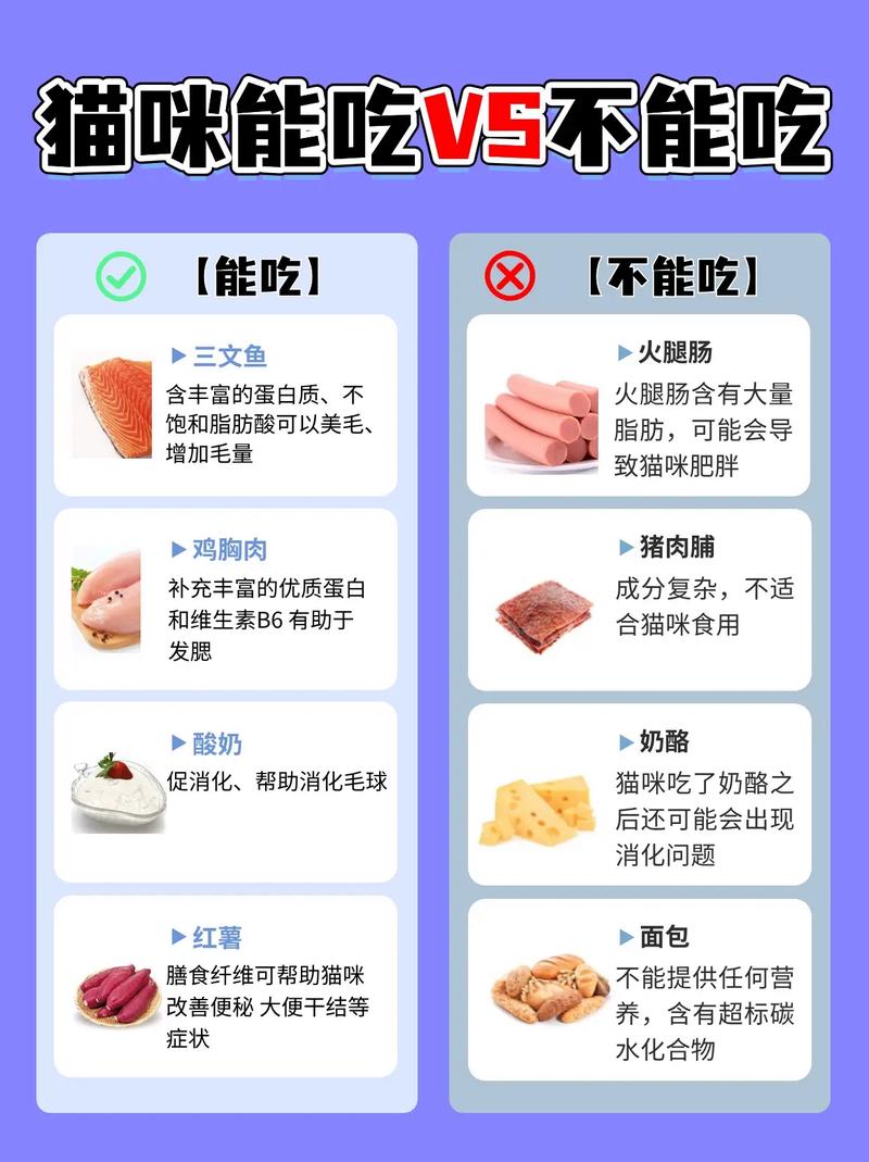 貓咪為何吃肉好，揭秘貓科動物的飲食習(xí)慣