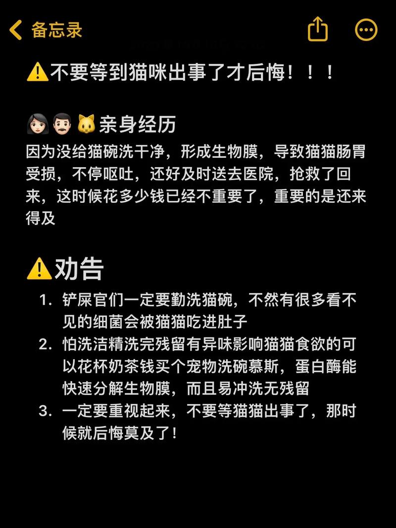 貓咪常規(guī)體檢，守護(hù)毛孩子健康的小秘籍