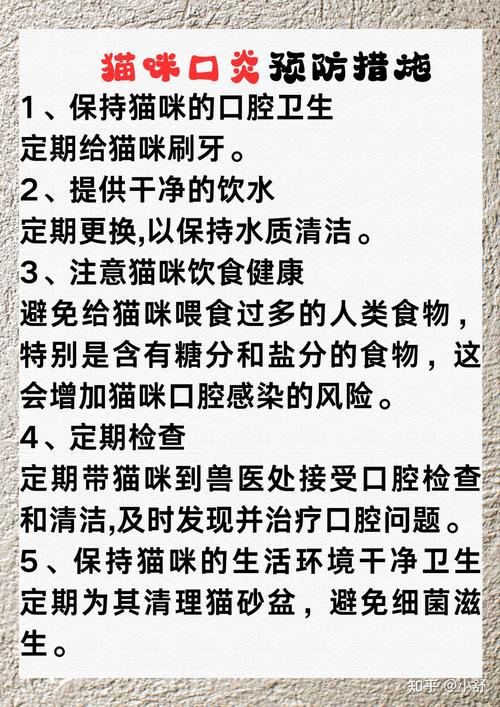 貓咪嘴邊發(fā)紅？可能隱藏的健康問題需要你注意