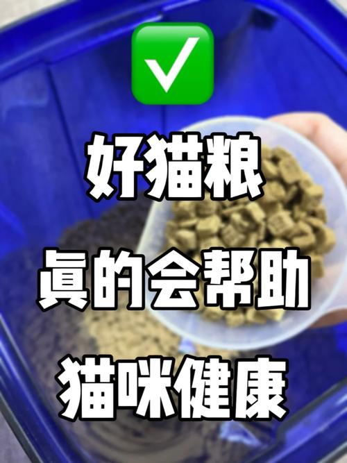 了解貓咪健康警鐘