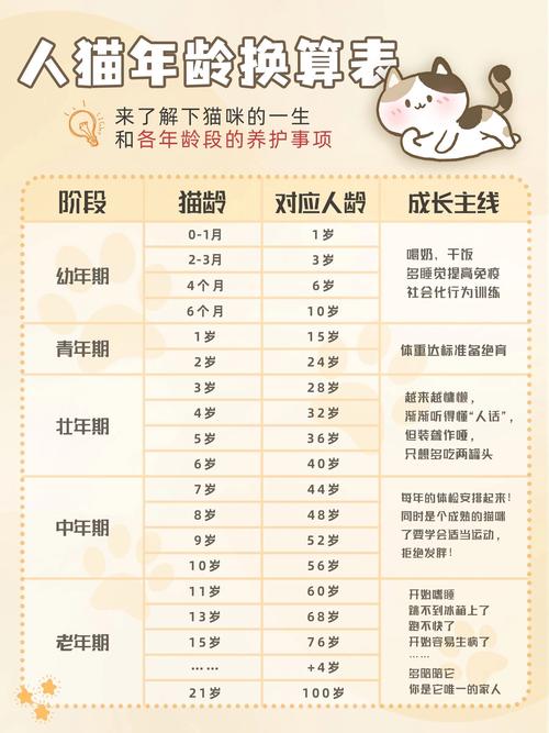 貓咪壽命換算，科學解析與實際應用