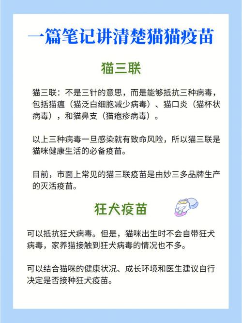 貓咪荷蘭疫苗，了解必備的寵物健康保護