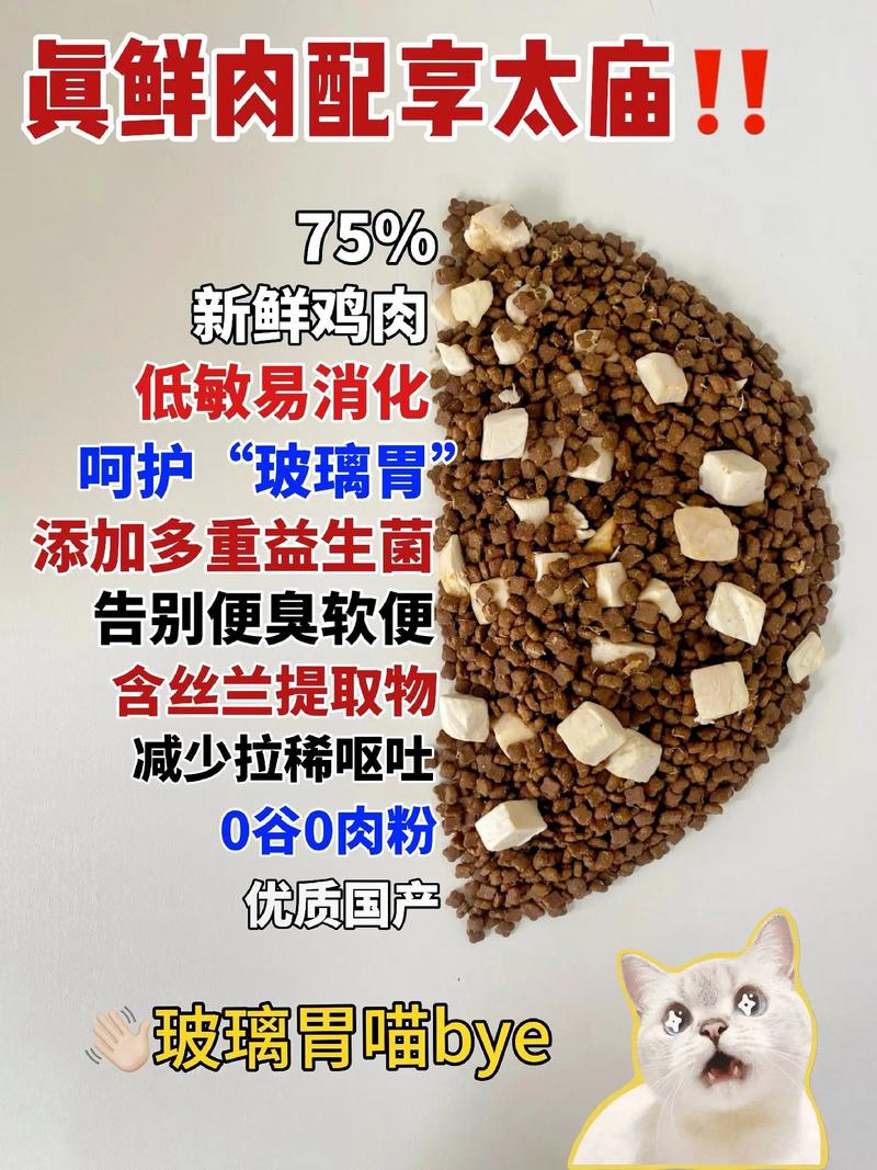 讓貓咪食欲大增的秘訣