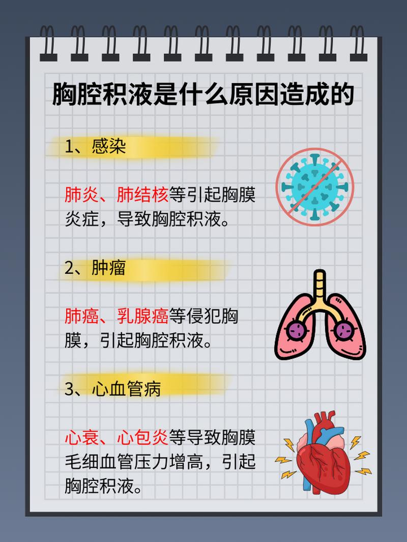 探秘貓咪胸腔炎，癥狀與預(yù)防