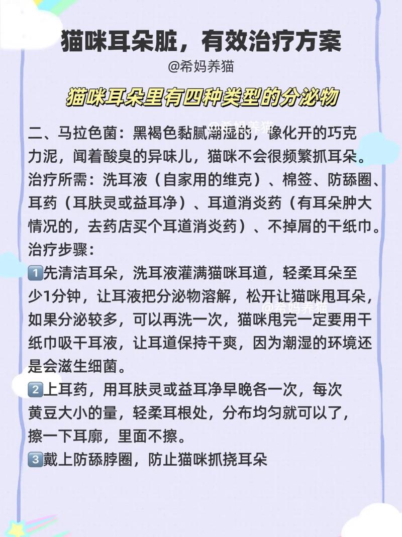 探索貓咪耳朵的奧秘，保持健康從了解開始