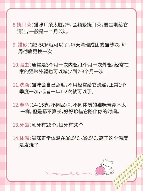 貓咪的小秘密，了解它們的排泄習(xí)慣與健康狀況