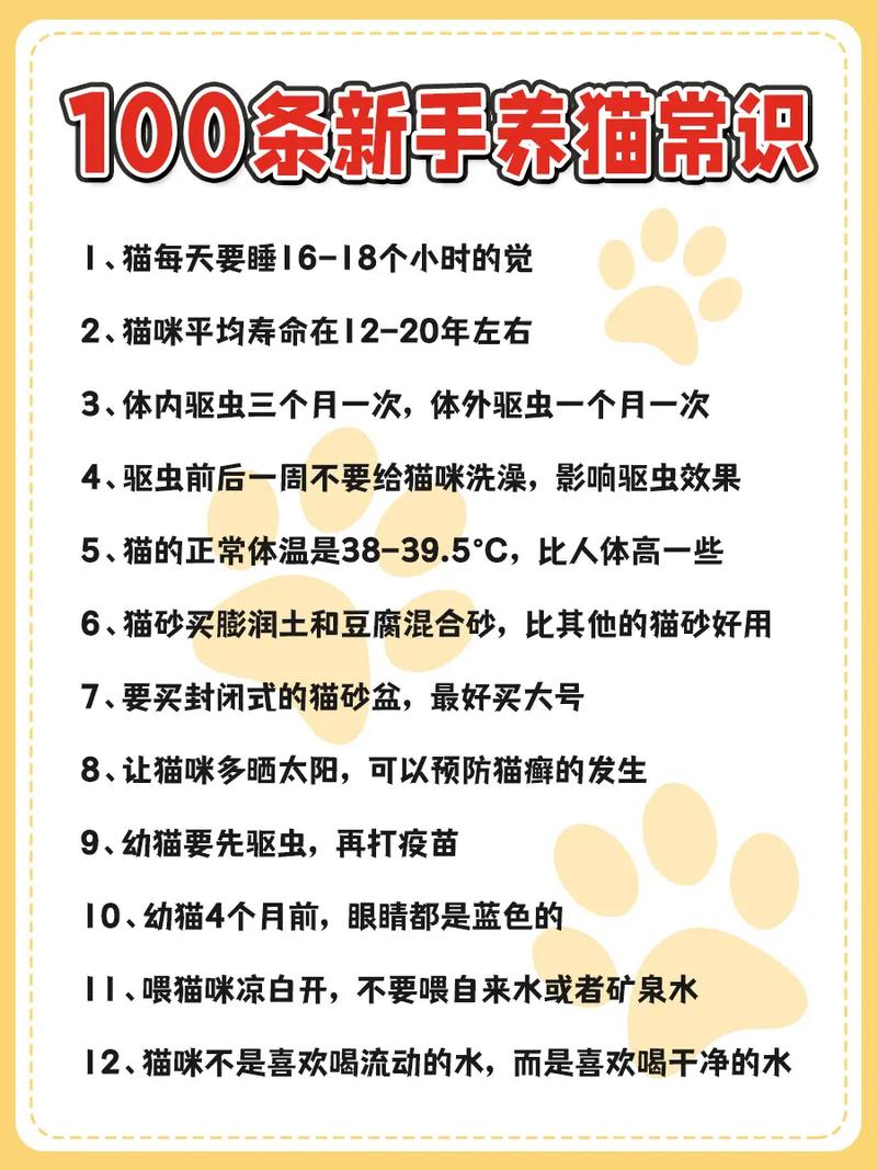 貓咪皮毛油亮的秘密，養(yǎng)護秘訣大公開