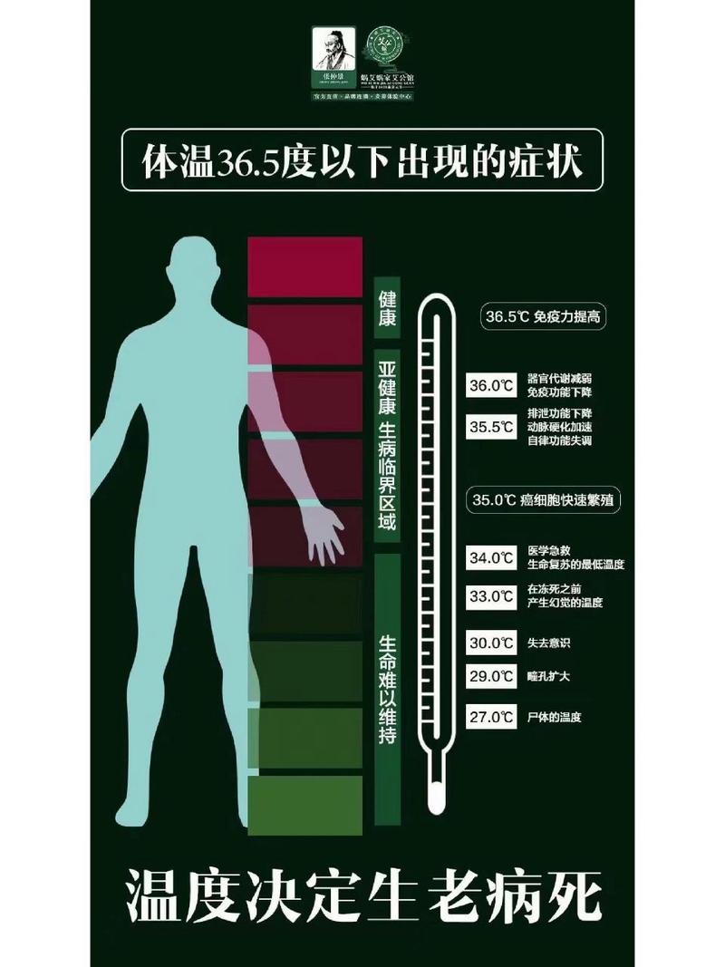 揭秘貓咪正常體溫的秘密，39.1度背后的健康密碼