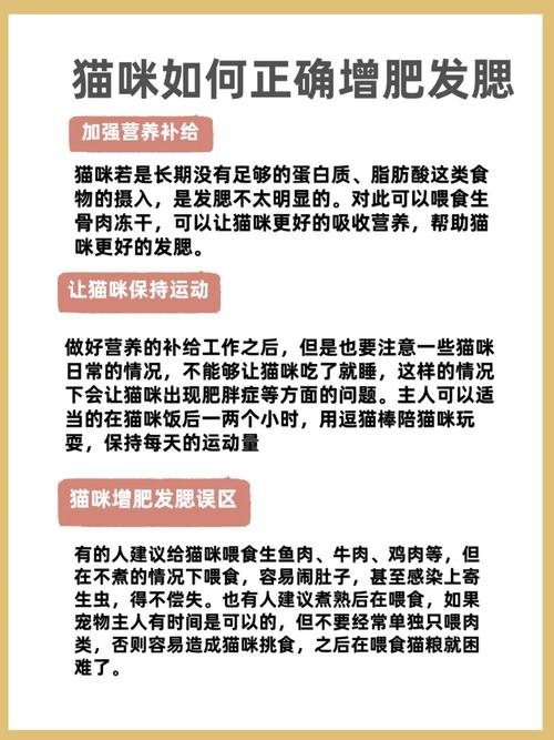 揭秘貓咪繁殖的秘密，繁育技巧與常見問題解析